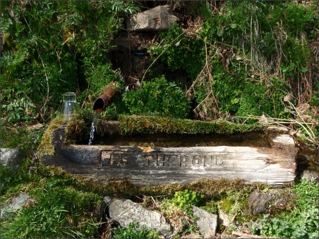 photo5