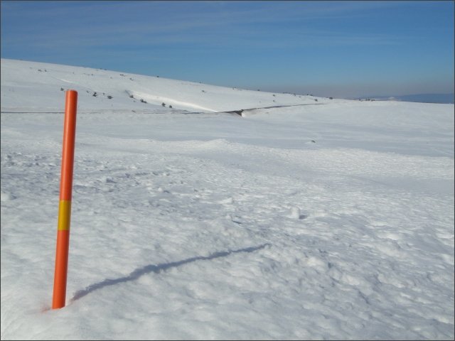 photo17