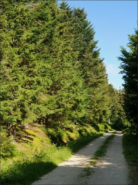 photo13