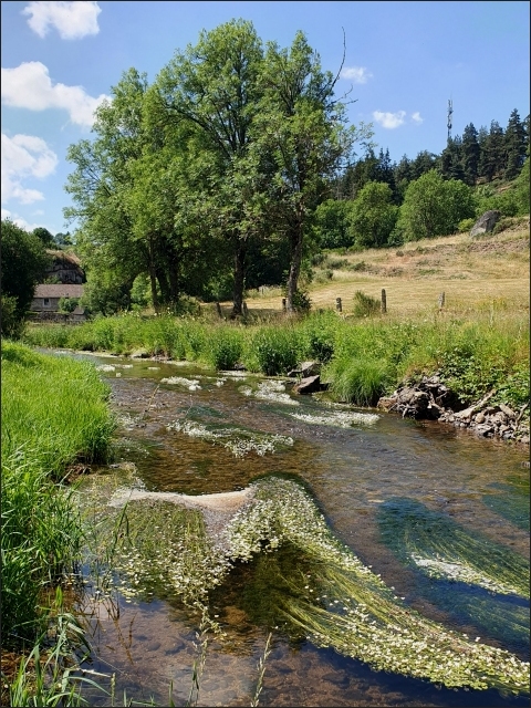 photo18