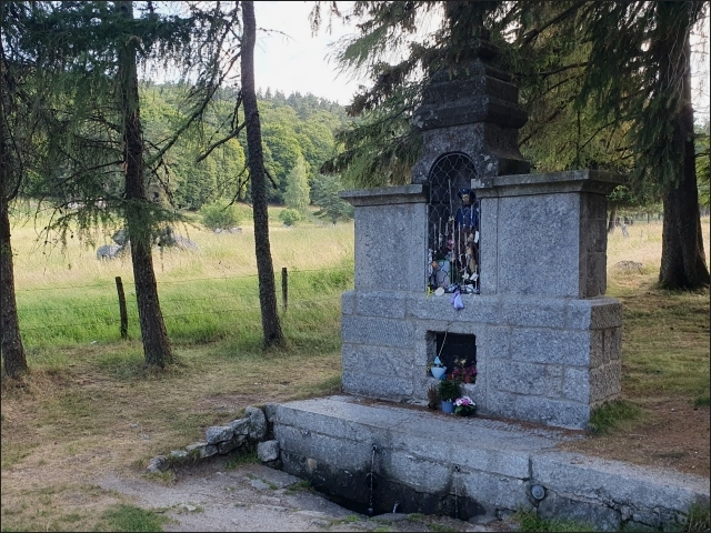photo6