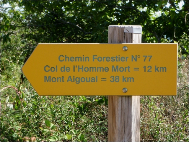 photo11