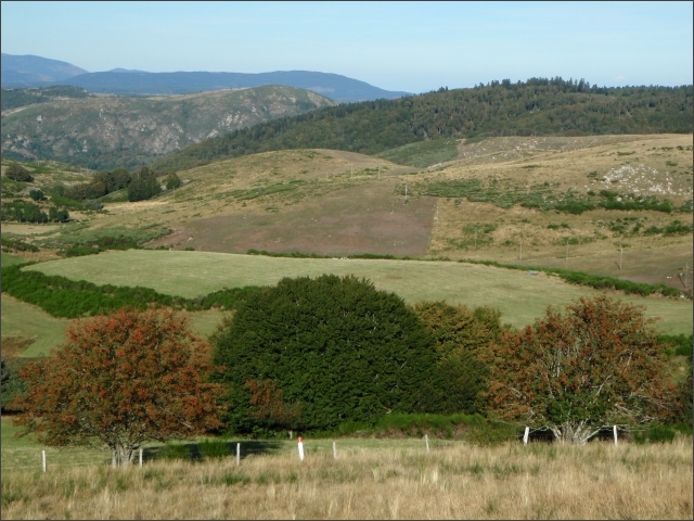 photo28