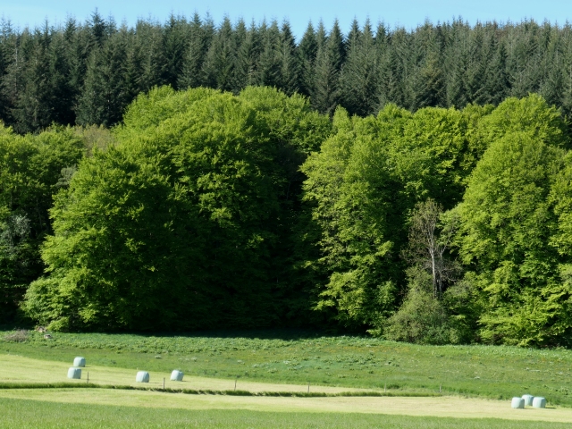 après la ferme de Vaquières