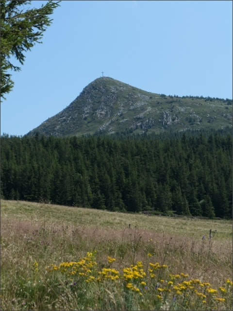 photo21