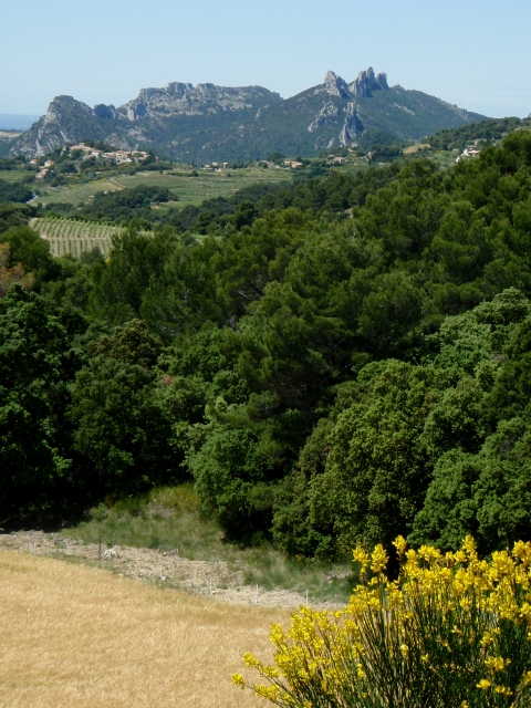 les Dentelles de Montmirail