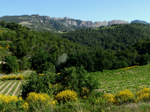 les Dentelles de Montmirail