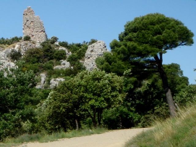 la tour sarrasine