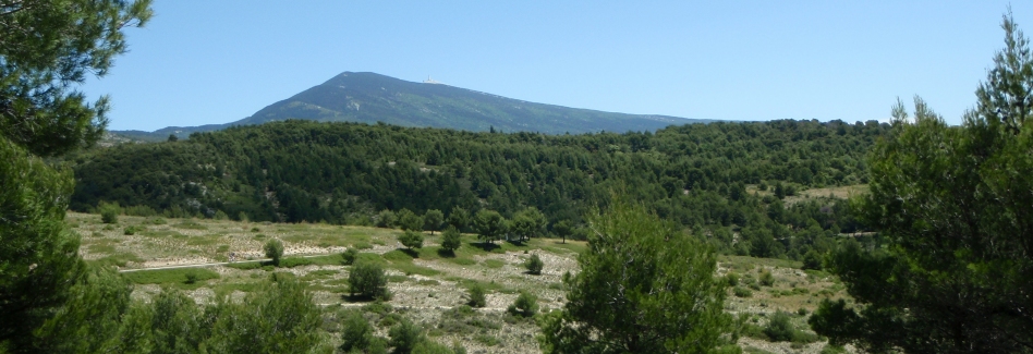 le mont Ventoux