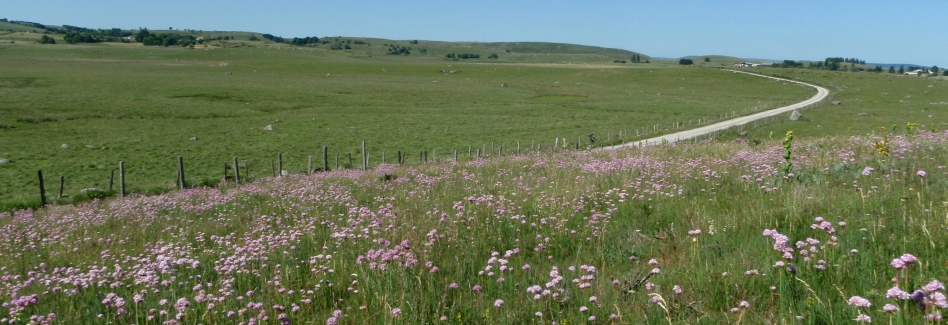 panorama Aubrac