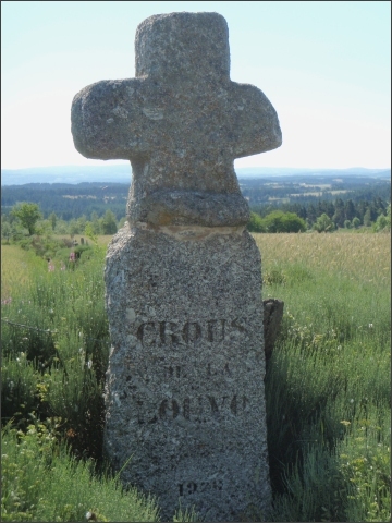 photo7
