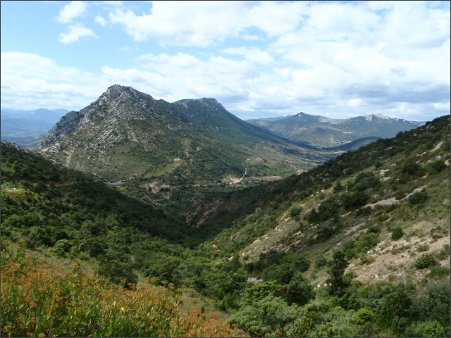 photo22