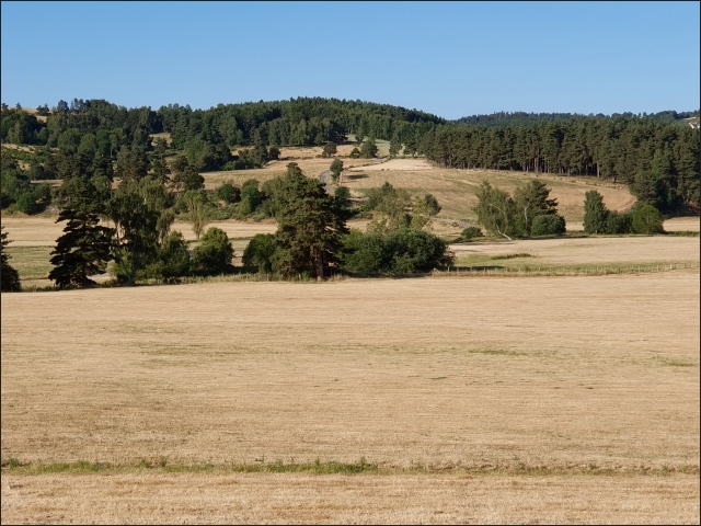 photo1