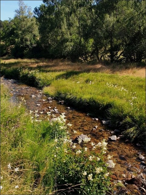 photo14