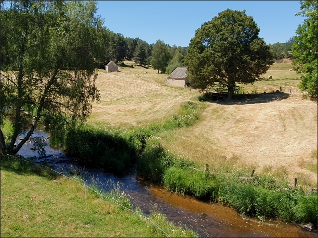 photo20