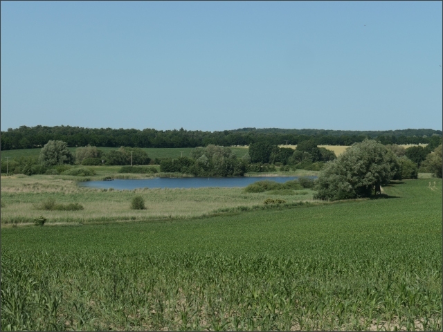 photo34
