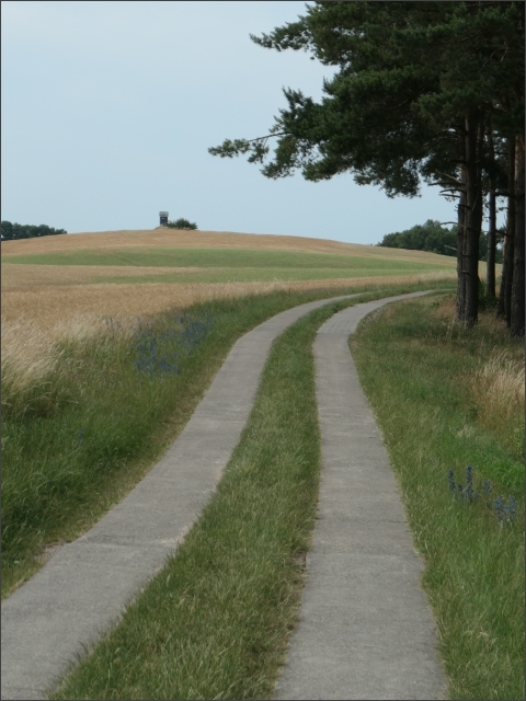 photo46