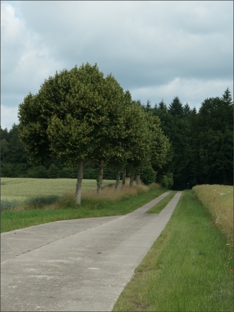 photo49