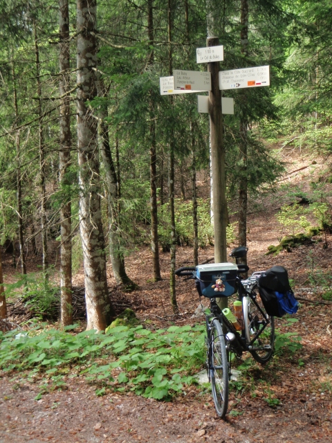 au col du Bulay (1100 m)