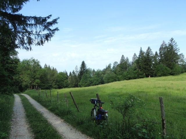 sur le chemin de la Vie du Bois