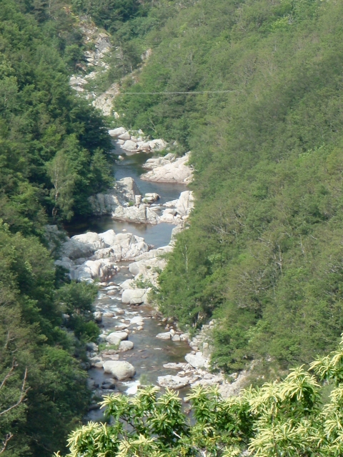 la haute vallée du Tarn