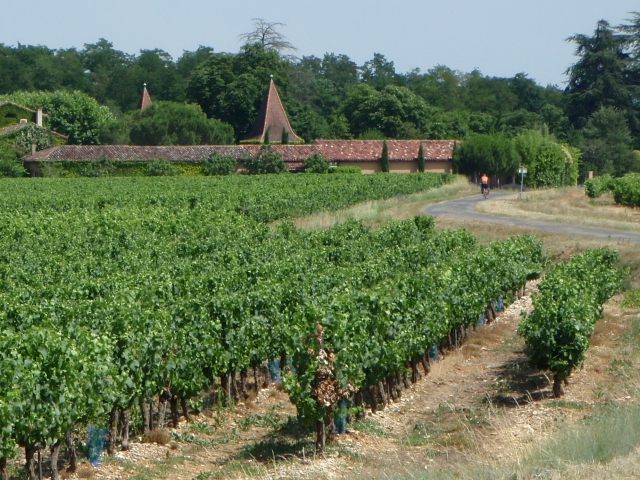 le vignoble de Gaillac