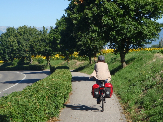 sur la piste cyclable vers Meinier