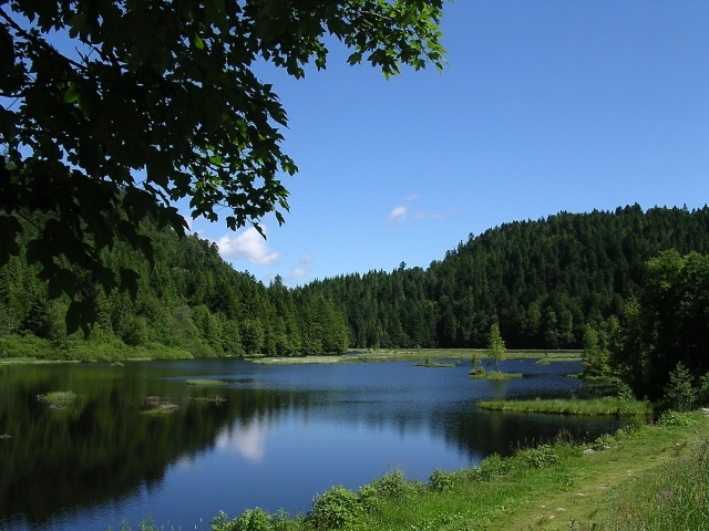 le lac de Lispach, au-dessus de La Bresse